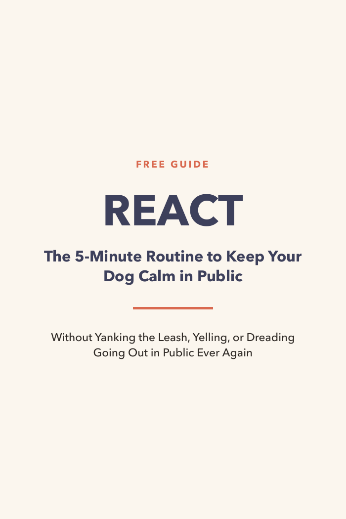 REACT: The 5-Minute Routine to Keep Your Dog Calm in Public